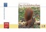 Das Eichhörnchen - Stefan Bosch ; Peter W. W. Lurz - 9783894321406