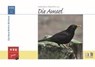 Die Amsel - Stefan Bosch ; Peter W. W. Lurz - 9783894321420