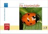 Die Marienkäfer - Ursula Rauch - 9783894322786