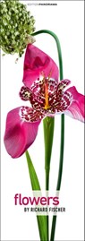 Flowers -  - 9783898236287