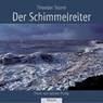Der Schimmelreiter - Theodor Storm - 9783898761444