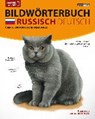 JOURIST Bildwörterbuch Russisch-Deutsch: 18.000 Wörter und Wendungen - JOURIST,  Igor - 9783898946629