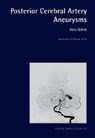 Posterior Cerebral Artery Aneurysms - GÖHRE,  Felix - 9783899233568