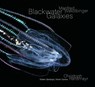 Manfred Wakolbinger - Blackwater Galaxies - Manfred Wakolbinger ; Christoph Ransmayr - 9783903447240