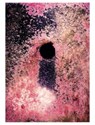 Water Column - Nico Krebs - 9783907236567