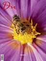 Du913 - das Kulturmagazin. Bienen - Oliver Prange - 9783907315125