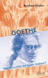 Goethe in Schwaben - Andrea Hahn - 9783910228085