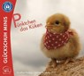 Pünktchen das Küken - Dorothea Flechsig - 9783910792036