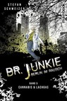 Dr. Junkie - Berlin im Rausch - Stefan Schweizer - 9783911008174
