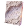 Faded Gods - Jenn Roberts - 9783911505666