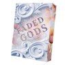 Faded Gods - Jenn Roberts - 9783911505932