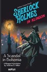 Sherlock Holmes in Klingon: A Scandal in Bohemia - Andrew D. Miller - 9783911787017