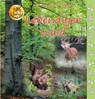 Lebendiger Wald - Heiderose Fischer-Nagel ; Andreas Fischer-Nagel - 9783930038381