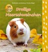 Drollige Meerschweinchen - Heiderose Fischer-Nagel ; Andreas Fischer-Nagel - 9783930038893