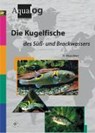 Die Kugelfische des Süß- und Brackwassers - Klaus Ebert - 9783931702618