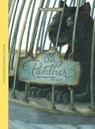 Der Panther - Rainer Maria Rilke - 9783934029712