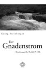 Der Gnadenstrom - Georg Steinberger - 9783939075448