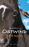 OSTWIND - Wie es begann - Lea Schmidbauer - 9783940919229