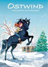 Ostwind 04- Weihnachten auf Kaltenbach - Thilo - 9783940919335