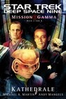Star Trek - Deep Space Nine 7 - Michael A. Martin ; Andy Mangels - 9783942649995