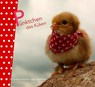 Pünktchen das Küken - Dorothea Flechsig - 9783943030204