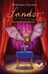 Sandor Not macht erfinderisch - Dorothea Flechsig - 9783943030389