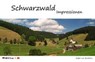 Schwarzwald Impressionen - BORDELIUS,  Ralph von - 9783943130089