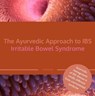 The Ayurvedic Approach to IBS Irritable Bowel Syndrome - Dr. Manu Das ; Karin Schweizer - 9783947159253
