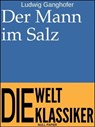 Der Mann im Salz - Ludwig Ganghofer - 9783954188208