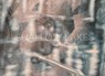 shallow lakes - Melike Kara - 9783954766451