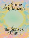 Senses of Plants / Die Sinne der Pflanzen - Julia Katharina Thiemann - 9783954767175