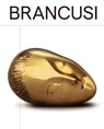 Brancusi - Constantin Brancusi - 9783954768257
