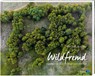 Wildfremd - Berndt Fischer - 9783955870751
