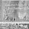 Deutschlands alte Buchenwälder - Karl Heinz Engel - 9783957990105