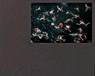 Francine Fleischer: The Water in Between - Michel Comte ; Francine Fleischer ; Jens Remes - 9783958298606