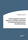 Koharenzgefuhl, psychische Belastung und Nahe und Distanz in der physiotherapeutischen Einzelbehandlung - Wolfgang Schaberle - 9783959354950