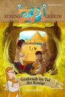 ZM - STRENG GEHEIM - Marliese Arold - 9783959364164