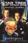 Star Trek Deep Space Nine 7 - Michael A. Martin ; Andy Mangels - 9783959819176