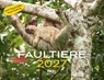 Faultiere Kalender 2027 Eintragkalender -  - 9783960585701