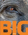 Big - NACHOUM,  Amos ; Dimitrijevic, Marko - 9783961713851