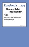 FLXX | Schlussleuchten von und mit Peter Felixberger - Peter Felixberger - 9783961961252