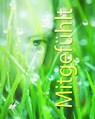 Mitgefühlt - Bruno Moebius - 9783965449480