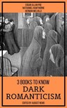 3 Books To Know Dark Romanticism - Herman Melville ; Edgar Allan Poe ; Nathaniel Hawthorne ; August Nemo - 9783967243857