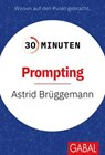 30 Minuten Prompting - Astrid Brüggemann - 9783967404937