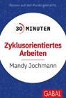 30 Minuten Zyklusorientiertes Arbeiten - Mandy Jochmann - 9783967405262