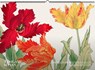 Tanigami Konan. Wandkalender 2026 -  - 9783968491868