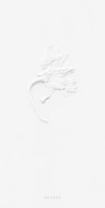 Ephemeral Field Journal - Sarah Schorr - 9783969002018