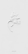 Ephemeral Field Journal - Sarah Schorr - 9783969002018