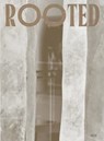 Rooted. Brasilianische Künstlerinnen / Female Brazilian Artists - Stefan Vilsmeier ; Tereza de Arruda - 9783969122433