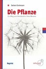 Die Pflanze - Gerbert Grohmann - 9783981553505